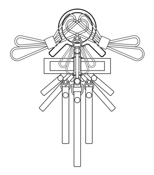 Niels peeraer dog 2025 harness