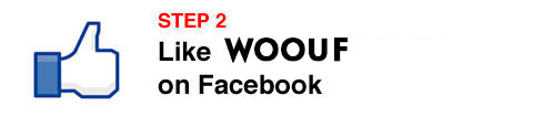 WOOUF-step2