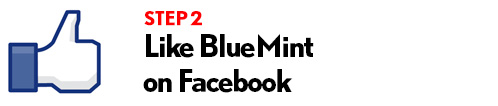 bluemintgiveaway3