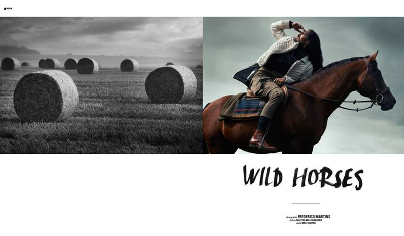 Wild-Horses_fy1