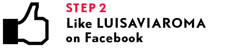 luisastep2