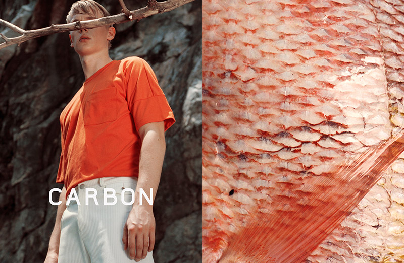 Carbon-FW15-Campaign_fy5