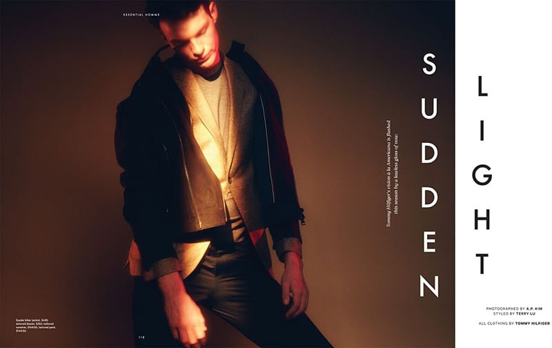 Sudden-Light_fy1