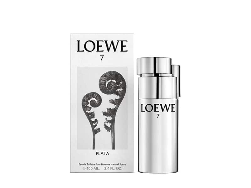 loewe fragrances