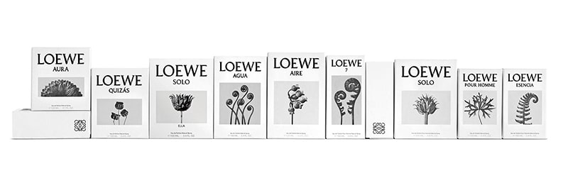 loewe fragrances