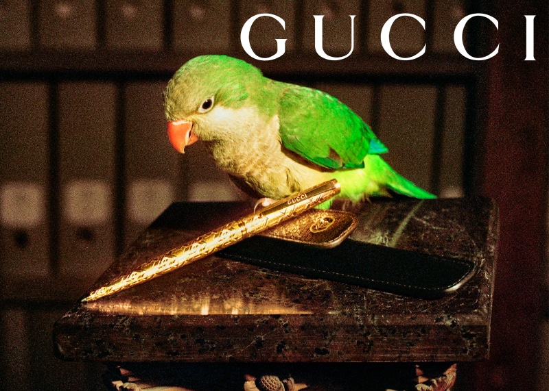 Shop Gucci Lifestyle: Stationery, Games & Leisure by Gucci