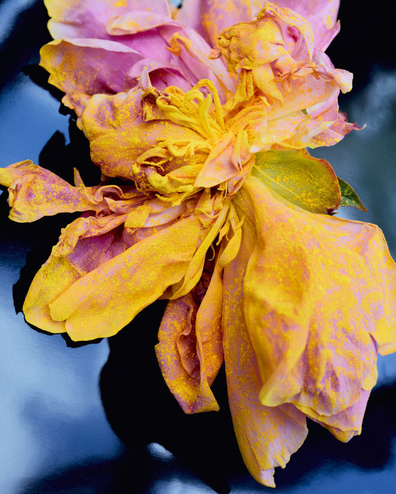 LOEWE Perfumes Expands Its Crafted Collection with Five New Fragrances