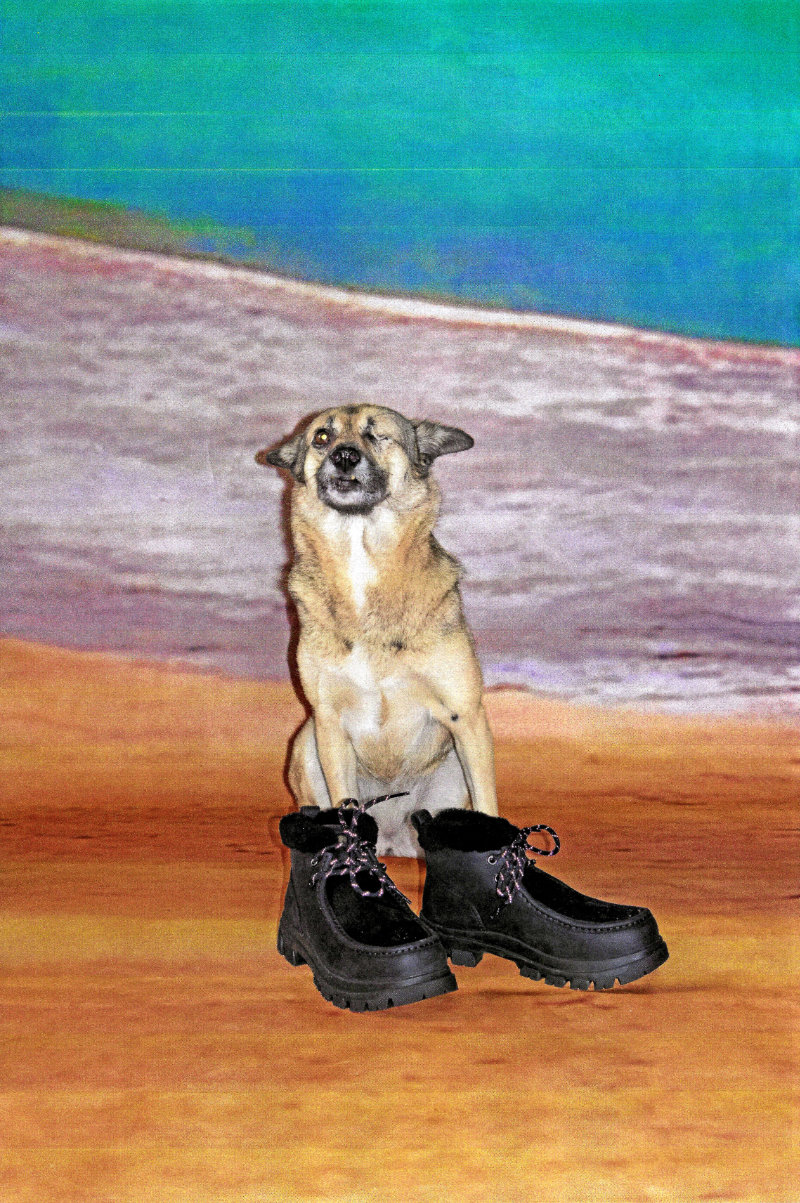 PRADA presents 